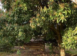 Fazenda, 2 Quartos em Zona Rural, Pratinha, MG valor de R$ 380.000,00 no Lugar Certo