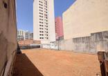 Lote