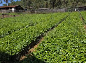 Fazenda em Zona Rural, Bom Sucesso, MG valor de R$ 40.000.000,00 no Lugar Certo