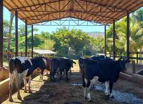 Fazenda, 4 Quartos, 2 Vagas, 1 Suite em Centro, Piracema, MG valor de R$ 3.200.000,00 no Lugar Certo