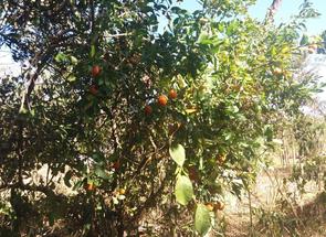 Lote em Lagoa Mansões, Lagoa Santa, MG valor de R$ 295.000,00 no Lugar Certo