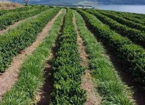 Fazenda, 3 Quartos em Zona Rural, Carmo do Rio Claro, MG valor de R$ 6.500.000,00 no Lugar Certo