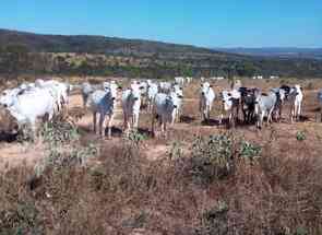 Fazenda, 3 Quartos em Zona Rural, Morada Nova de Minas, MG valor de R$ 10.000.000,00 no Lugar Certo