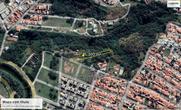 Lote