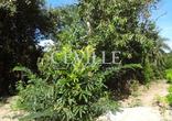 Lote à venda, Casa Branca - Brumadinho, MG - 7500m² - ID 340976614 | Lugarcerto