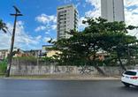Lote