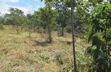 Lote a venda em Esmeraldas, MG no valor de R$ 162.000,00 no LugarCerto