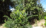 Lote à venda, Casa Branca - Brumadinho, MG - 7500m² - ID 340976614 | Lugarcerto