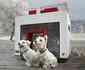 Empresa alem cria casas de cachorro que lembram belas manses em miniatura