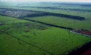 Fazenda