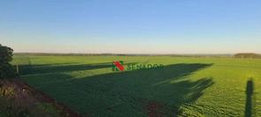 Rural em Rua Rio Branco, Conjunto C, Foz do Iguaçu, PR valor de R$ 47.520.000,00 no Lugar Certo