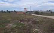 Lote