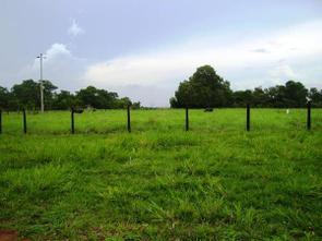Fazenda, 1 Quarto em Cidade Industrial, Gurupi, TO valor de R$ 8.500.000,00 no Lugar Certo