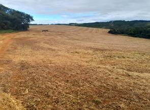 Fazenda em Zona Rural, Madre de Deus de Minas, MG valor de R$ 35.000.000,00 no Lugar Certo