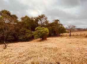 Fazenda em Centro, Conselheiro Lafaiete, MG valor de R$ 149.000,00 no Lugar Certo