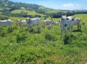 Fazenda em Zona Rural, Jacutinga, MG valor de R$ 25.500.000,00 no Lugar Certo