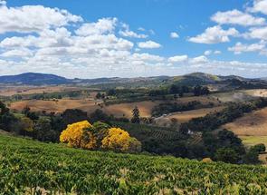 Fazenda, 2 Quartos, 1 Vaga, 1 Suite em Centro, Cambuquira, MG valor de R$ 4.800.000,00 no Lugar Certo