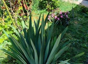 Casa, 3 Quartos, 5 Vagas, 1 Suite em Tropical, Contagem, MG valor de R$ 600.000,00 no Lugar Certo