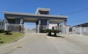 Lote