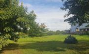 Lote