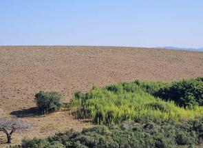 Fazenda, 3 Quartos em Zona Rural, São José do Alegre, MG valor de R$ 15.000.000,00 no Lugar Certo