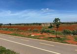 Lote