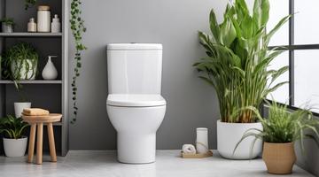 5 mitos sobre a limpeza do banheiro que podem danificar a lou�a sanit�ria