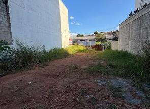 Lote, 10 Vagas para alugar em Teixeira Dias (barreiro), Belo Horizonte, MG valor de R$ 10.000,00 no Lugar Certo