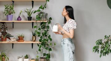 Menos tela em casa: 6 mudan�as simples para aliviar a exaust�o digital