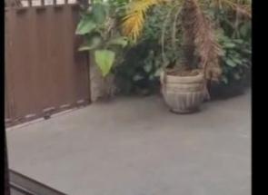 Casa, 7 Quartos, 2 Vagas em Ouro Preto, Belo Horizonte, MG valor de R$ 1.300.000,00 no Lugar Certo