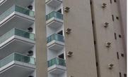 Apartamento, 3 Quartos, 2 Vagas, 1 Suite