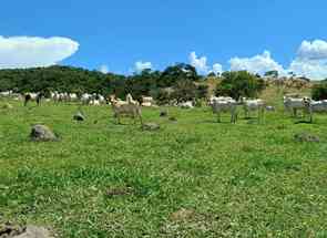 Fazenda, 3 Quartos em Urucuia, Esmeraldas, MG valor de R$ 3.600.000,00 no Lugar Certo
