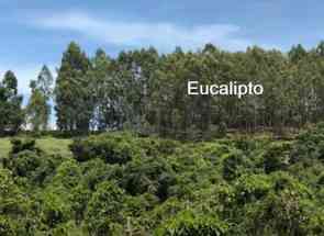 Fazenda, 2 Quartos em Zona Rural, Carmo da Cachoeira, MG valor de R$ 4.200.000,00 no Lugar Certo