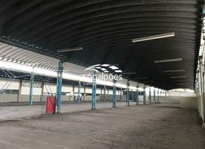 Galpão em Rua Menotti Muccelli, Vila Oeste, Belo Horizonte, MG valor de R$ 35.000.000,00 no Lugar Certo