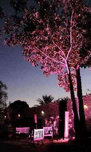 A cor prpura cria um clima cnico para um recanto do jardim iluminado por Ebenzer Marques - Divulgao
