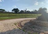 Lote, 99 Vagas