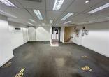 Loja para alugar com 230m², Belvedere - Belo Horizonte, MG - ID 353700881 | Lugarcerto