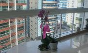 Apartamento, 4 Quartos