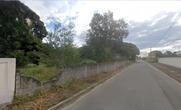 Lote