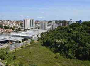 Cobertura, 3 Quartos, 2 Vagas, 1 Suite em Castelo, Belo Horizonte, MG valor de R$ 950.000,00 no Lugar Certo