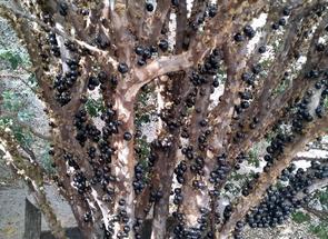 Casa, 3 Quartos, 4 Vagas, 1 Suite em Jardim Filadélfia, Belo Horizonte, MG valor de R$ 499.000,00 no Lugar Certo