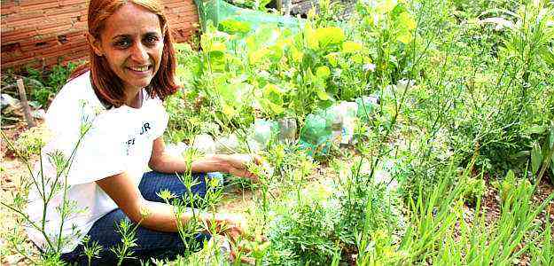 Ktia Moreira montou no quintal de casa um canteiro para ervas, frutas e verduras - Gladyston Rodrigues/AOCUBO FILMES