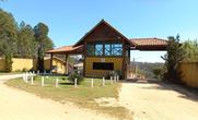 Lote