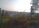 Lote