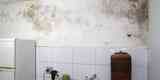 4. Passe nas paredes manchadas de bolor uma mistura de gua com gua sanitria (em propores iguais). 