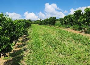 Fazenda, 3 Quartos, 2 Vagas, 1 Suite em Zona Rural, Três Corações, MG valor de R$ 10.000.000,00 no Lugar Certo