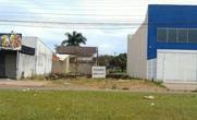 Lote