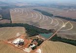 Fazenda, 15 Vagas