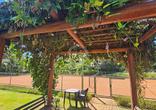 Lote