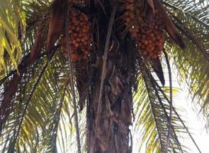 Fazenda em Centro, Sabará, MG valor de R$ 80.000,00 no Lugar Certo